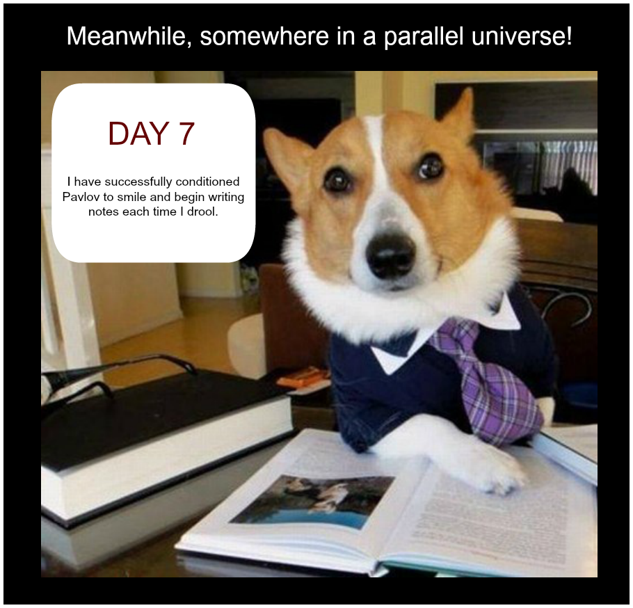 0d141a011e53e97f7d3b0f1693a54ca7